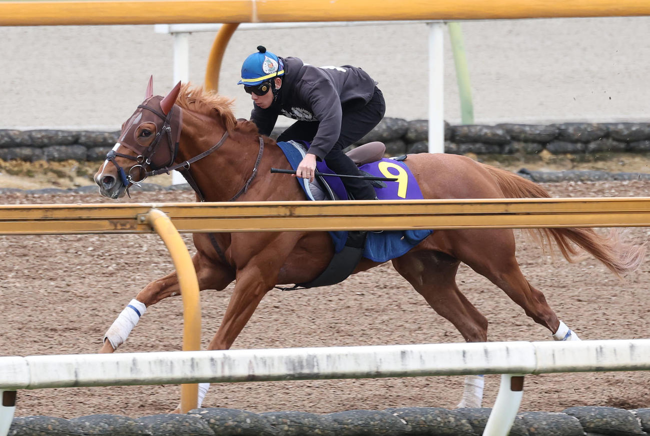 中井騎手を背にCウッドを単走で追い切るビザンチンドリーム（撮影・白石智彦）