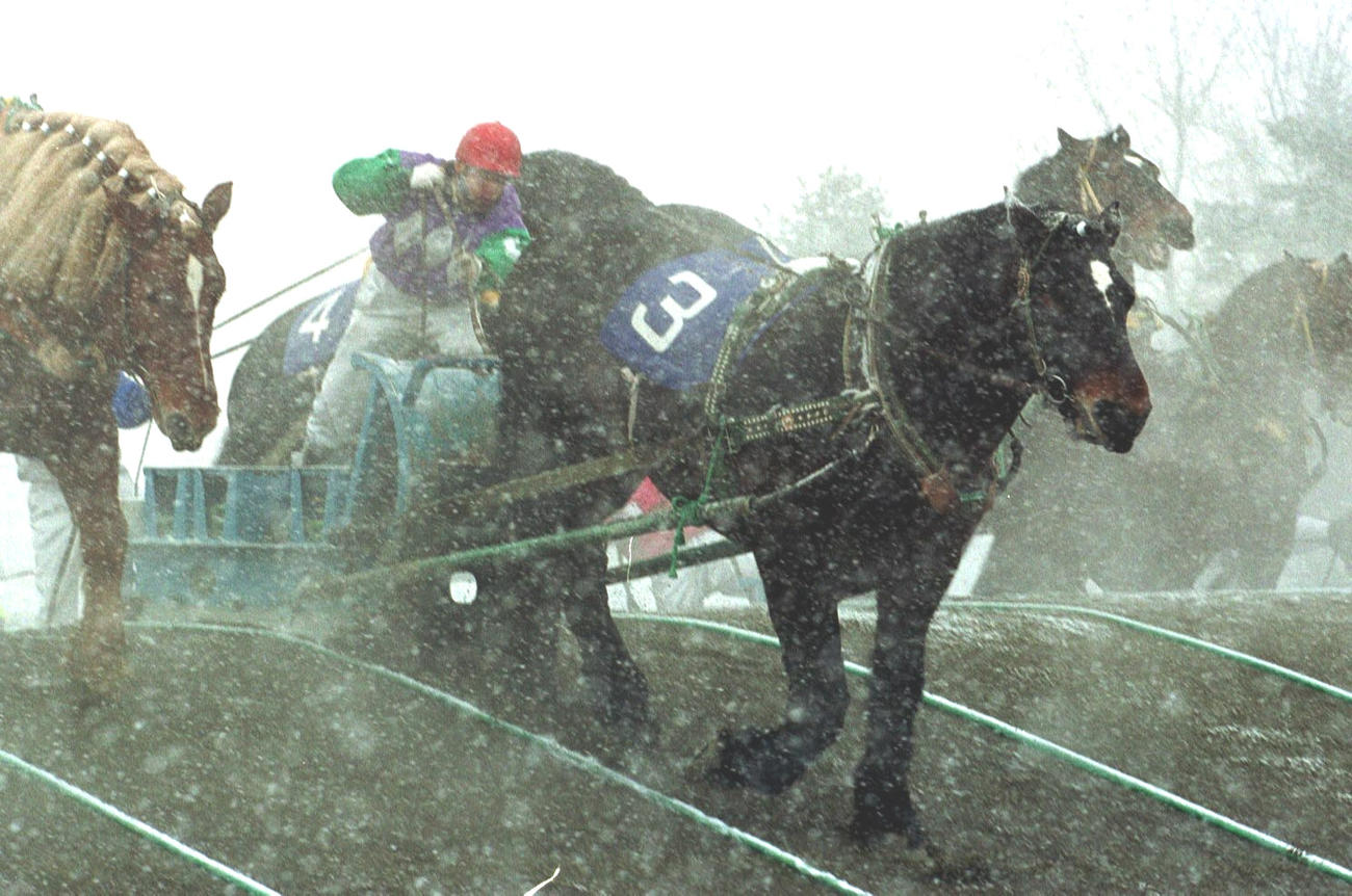ばんえい競馬（イメージ）