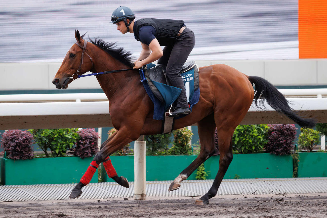 シャティン競馬場で調整するゴリアット（C）The　Hong　Kong　Jockey　Club