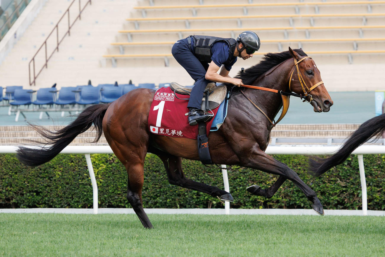 24日、シャティン競馬場で追い切られたサトノレーヴ（C）The　Hong　Kong　Jockey　Club