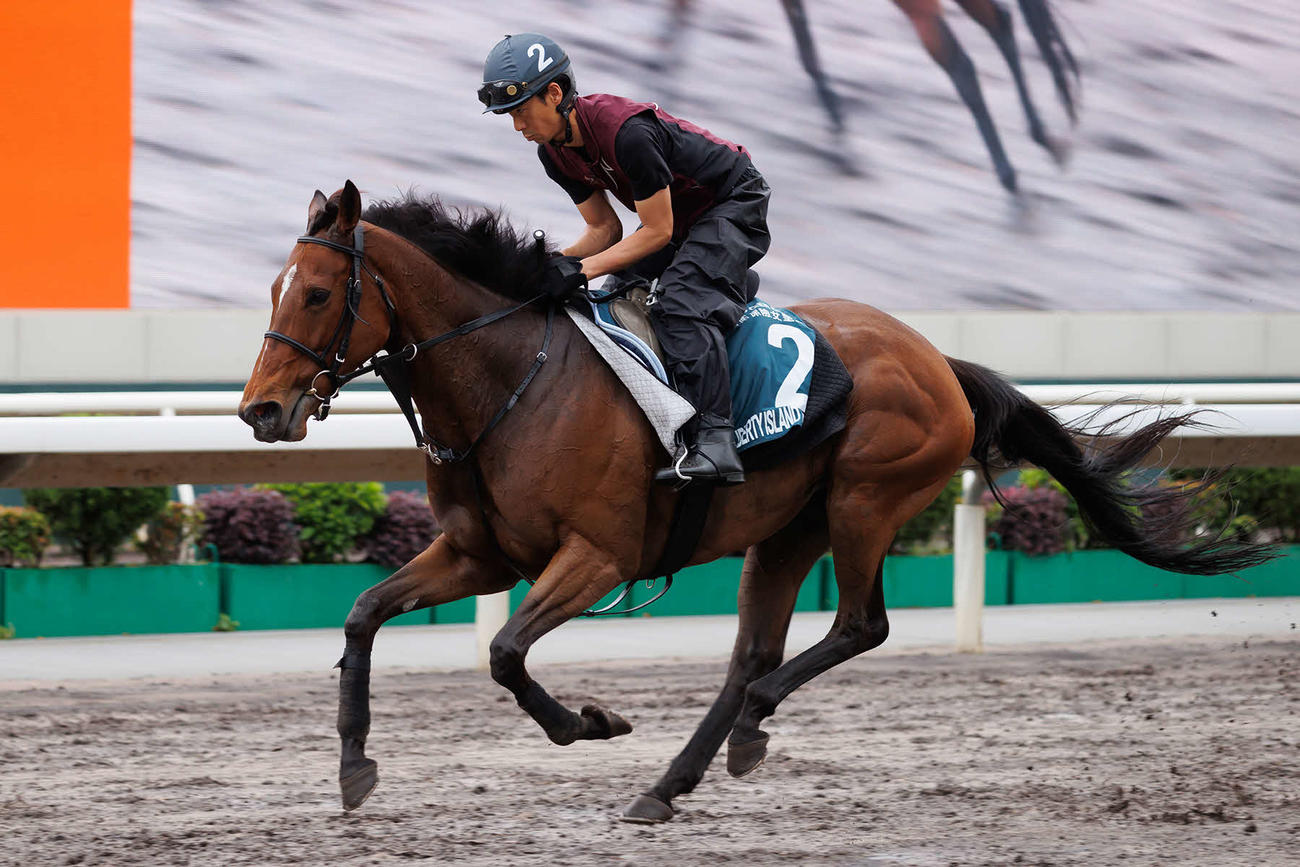 シャティン競馬場で調整するリバティアイランド（C）The　Hong　Kong　Jockey　Club