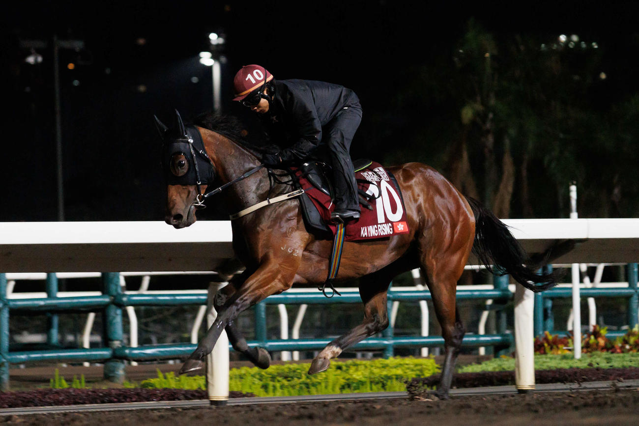 25日朝、調教するカーインライジング（C）The　Hong　Kong　Jockey　Club