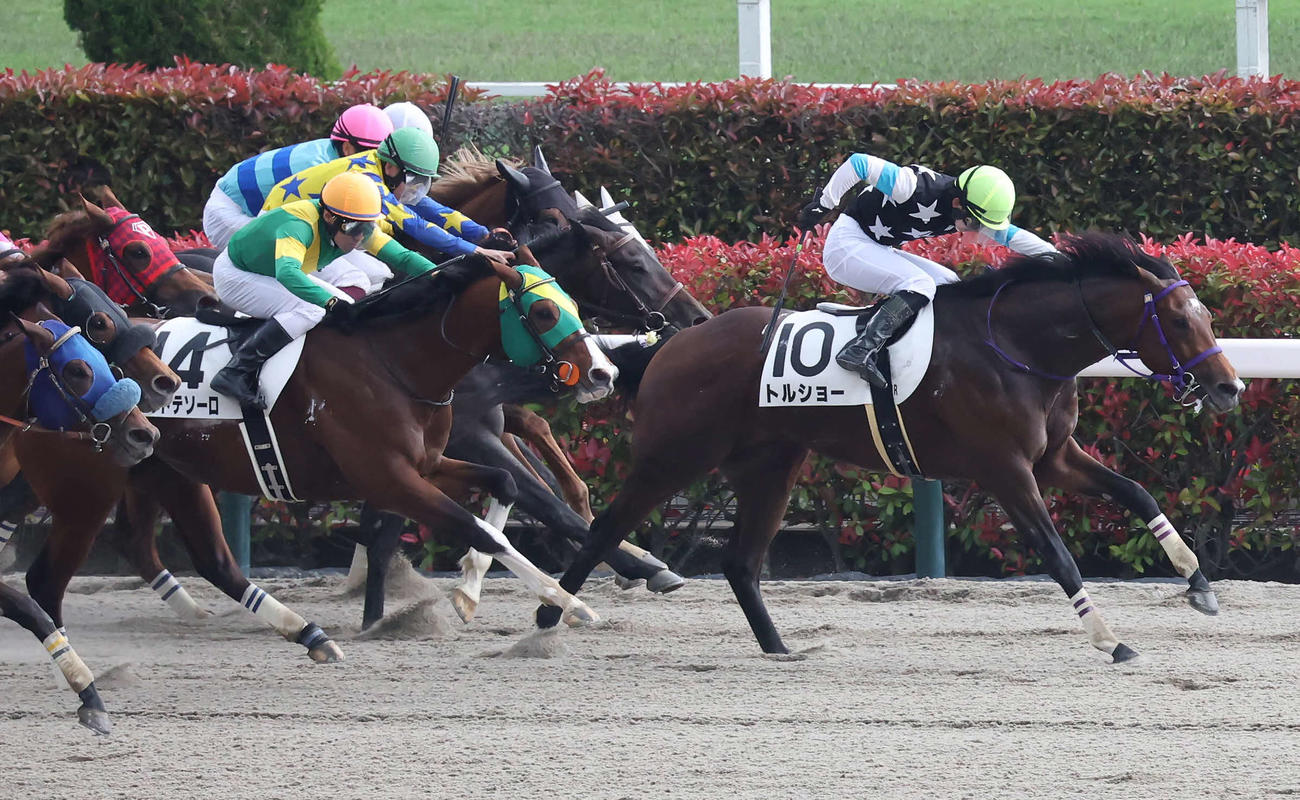 東京6R、3歳1勝クラスを制したトルショーと長浜騎手（撮影・丹羽敏通）