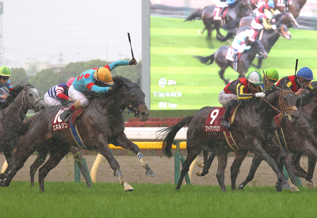 エネルジコが制した青葉賞（撮影・丹羽敏通）