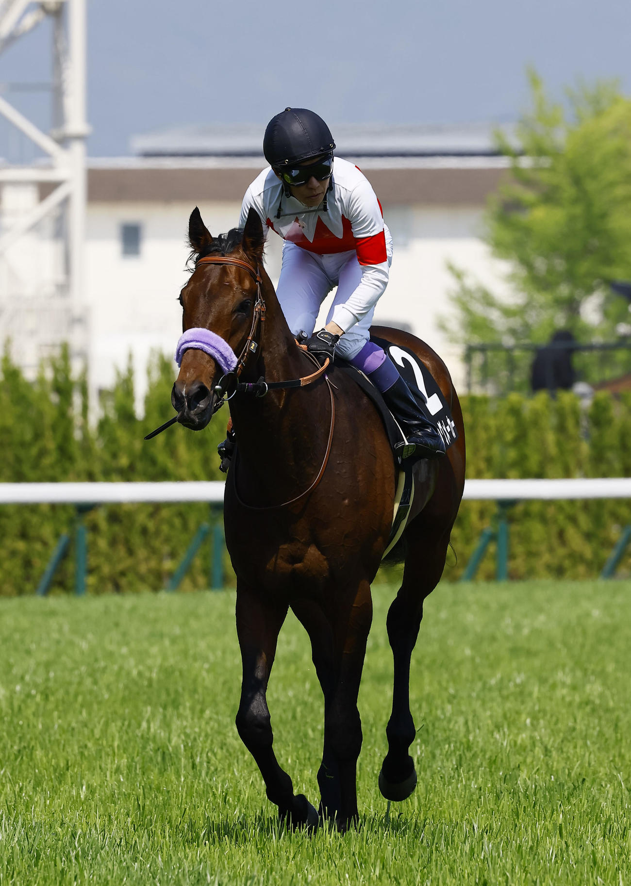 あやめ賞を制したキングメーカーと武豊騎手（撮影・藤尾明華）