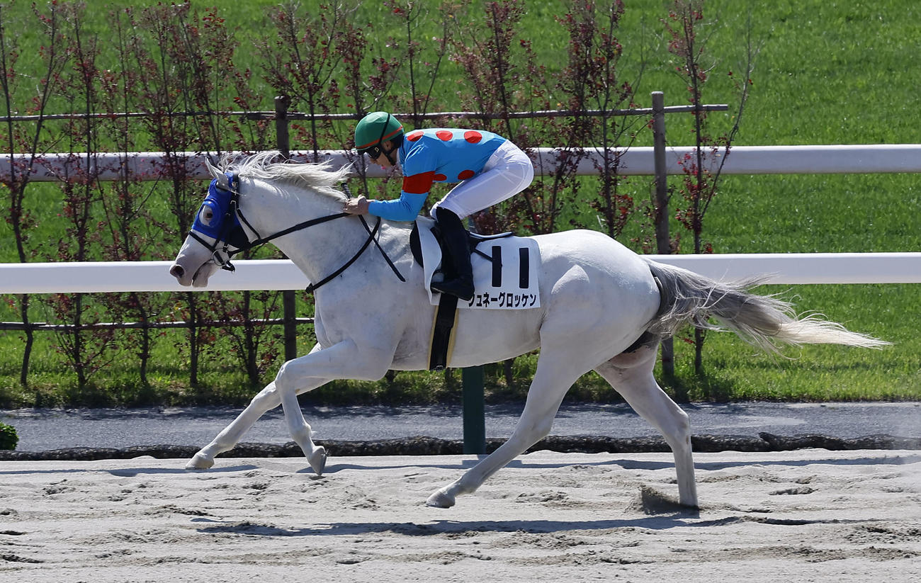 京都2R、3歳未勝利戦を制したシュネーグロッケンと吉村誠之助騎手（撮影・藤尾明華）