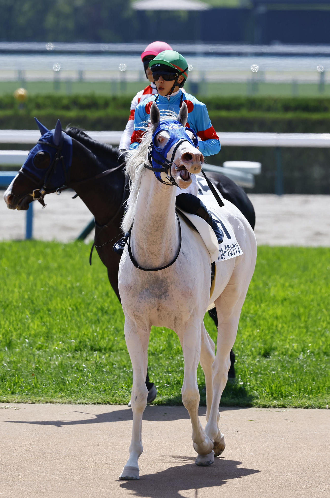 京都2R、3歳未勝利戦を制したシュネーグロッケンと吉村誠之助騎手（撮影・藤尾明華）