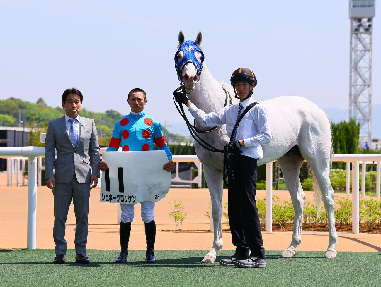 京都2R、3歳未勝利戦を制したシュネーグロッケンと吉村誠之助騎手（撮影・藤尾明華）