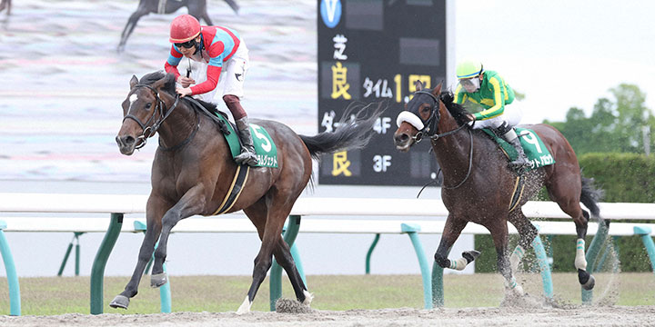 3連勝でユニコーンSを制したラムジェット（左）（撮影・白石智彦）＝2024年4月27日、京都競馬場