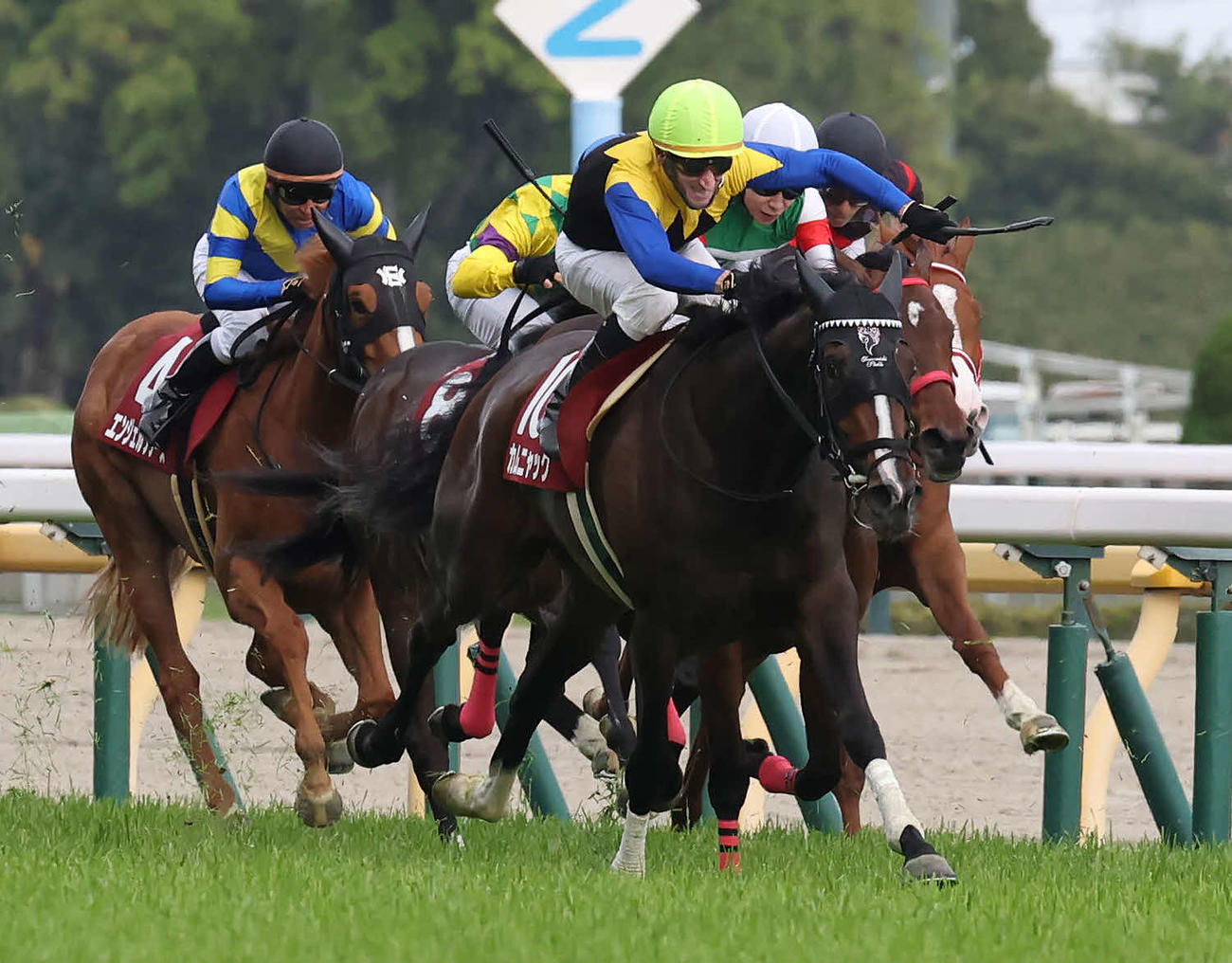 フローラSを制したカムニャックとシュタルケ騎手（撮影・丹羽敏通）