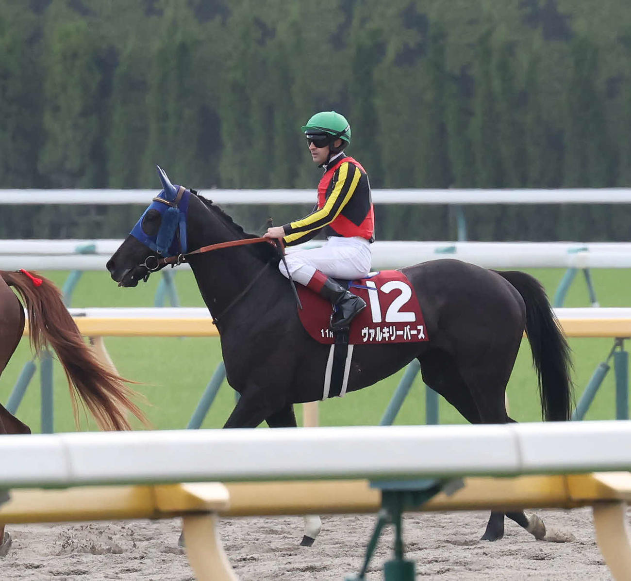 フローラSで1番人気に支持されたが2着に敗れたヴァルキリーバースとルメール騎手（撮影・丹羽敏通）