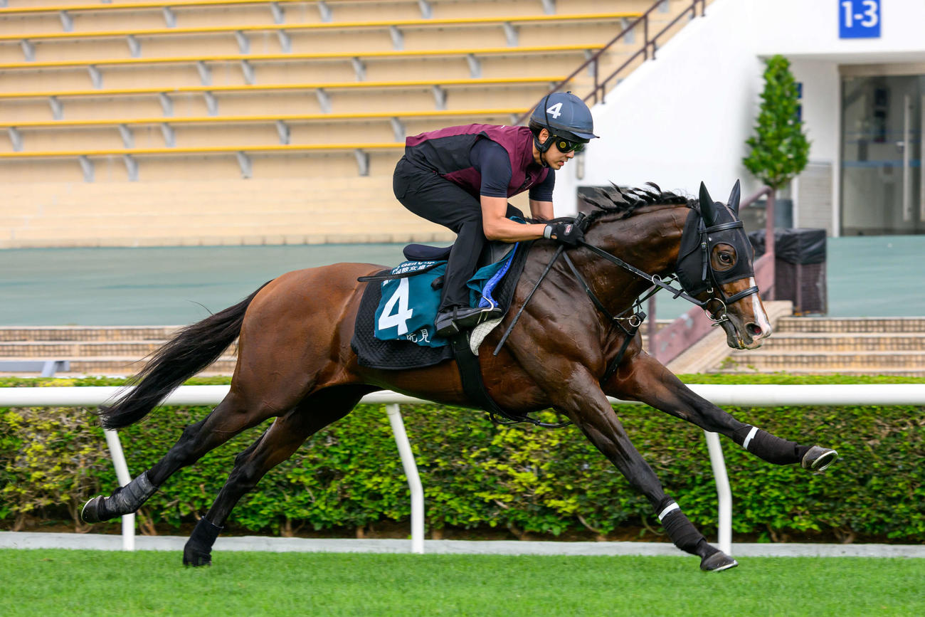 23日、シャティン競馬場で追い切られたプログノーシス（C）The Hong Kong Jockey Club