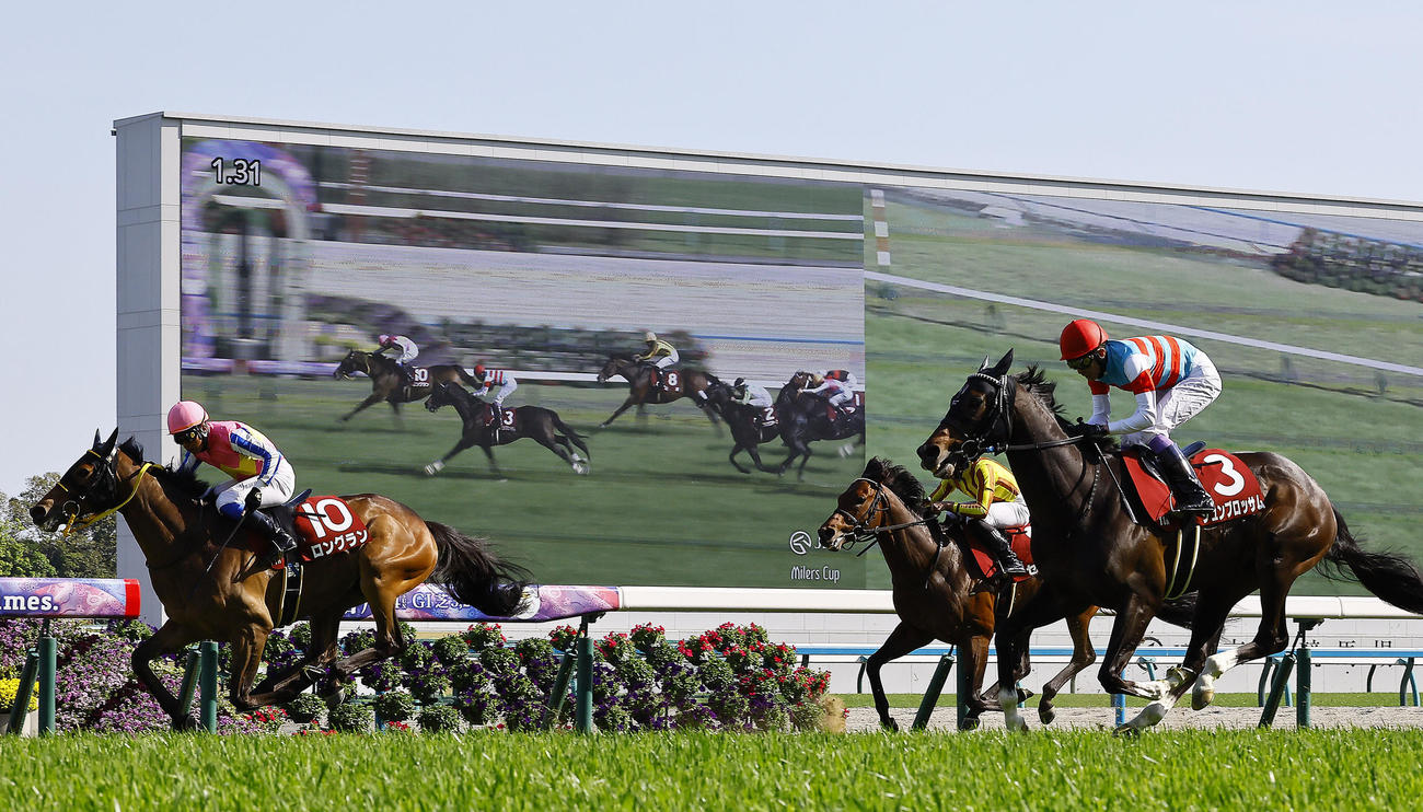 マイラーズCを制したロングランと岩田康騎手（左）。2着ジュンブロッサムと武豊騎手（右）