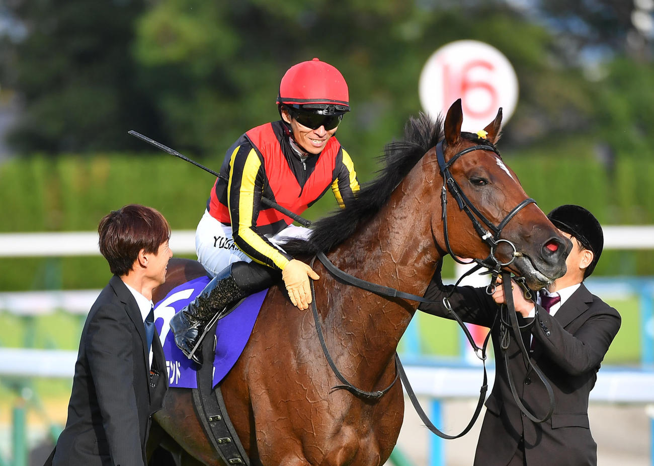 3冠達成したリバティアイランドをねぎらう川田将雅騎手（2023年撮影）