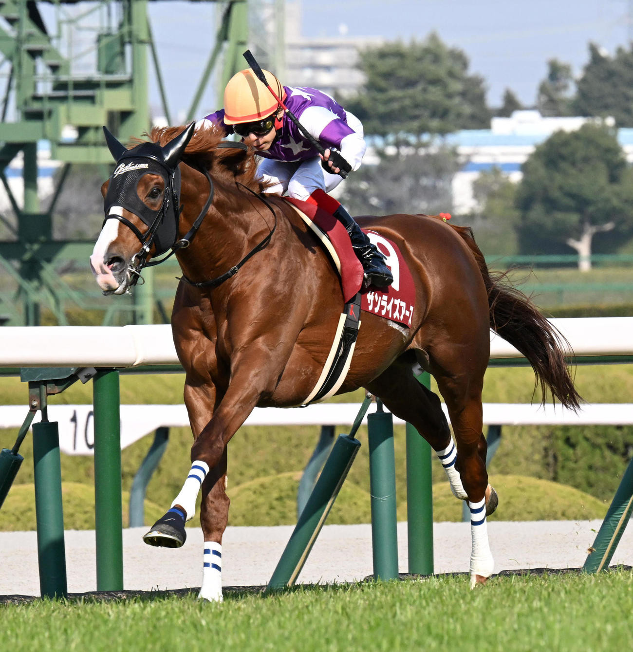 阪神大賞典を制したサンライズアース