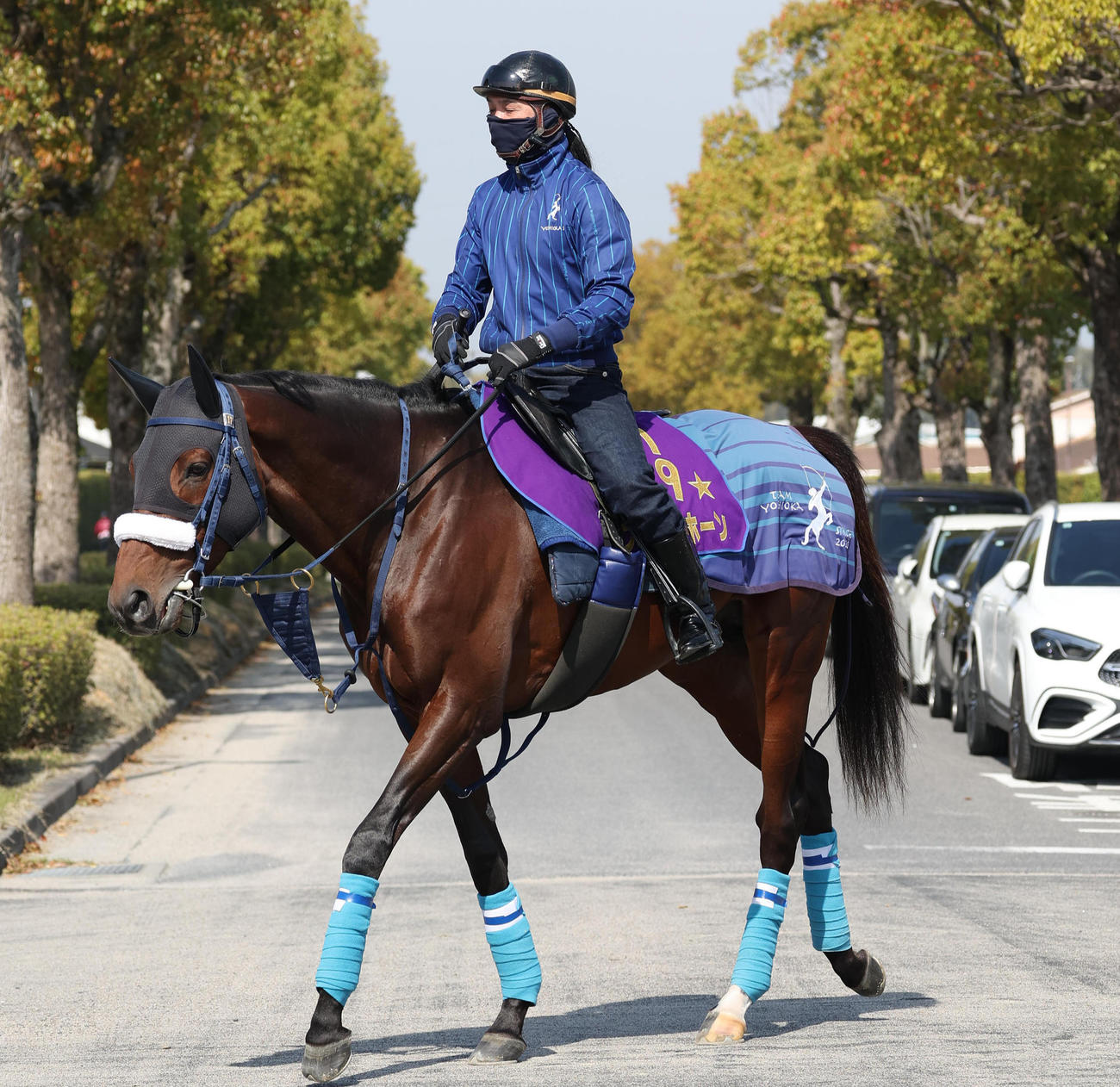 4月17日、厩舎周りで運動するブローザホーン