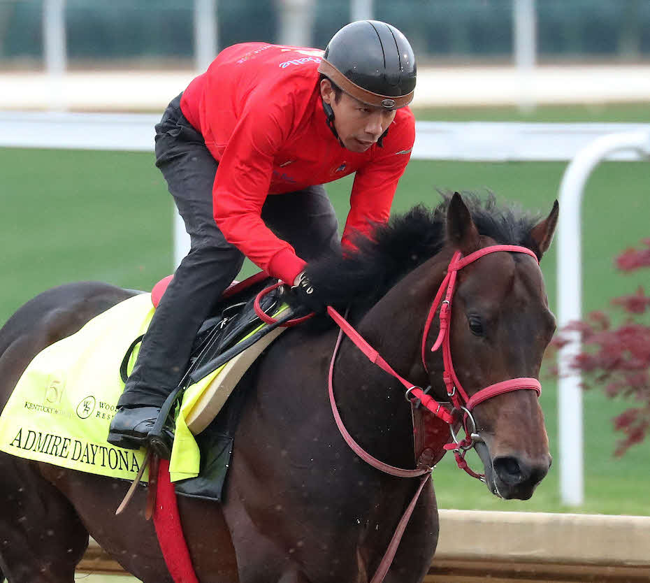 チャーチルダウンズ競馬場で調整するアドマイヤデイトナと宮下助手（C）Churchill Downs／Coady Media
