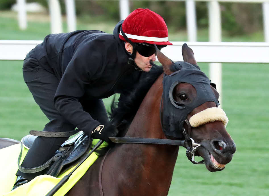 28日、プラ騎手を背に追いきったバエザ（C）Churchill Downs／Coady Media
