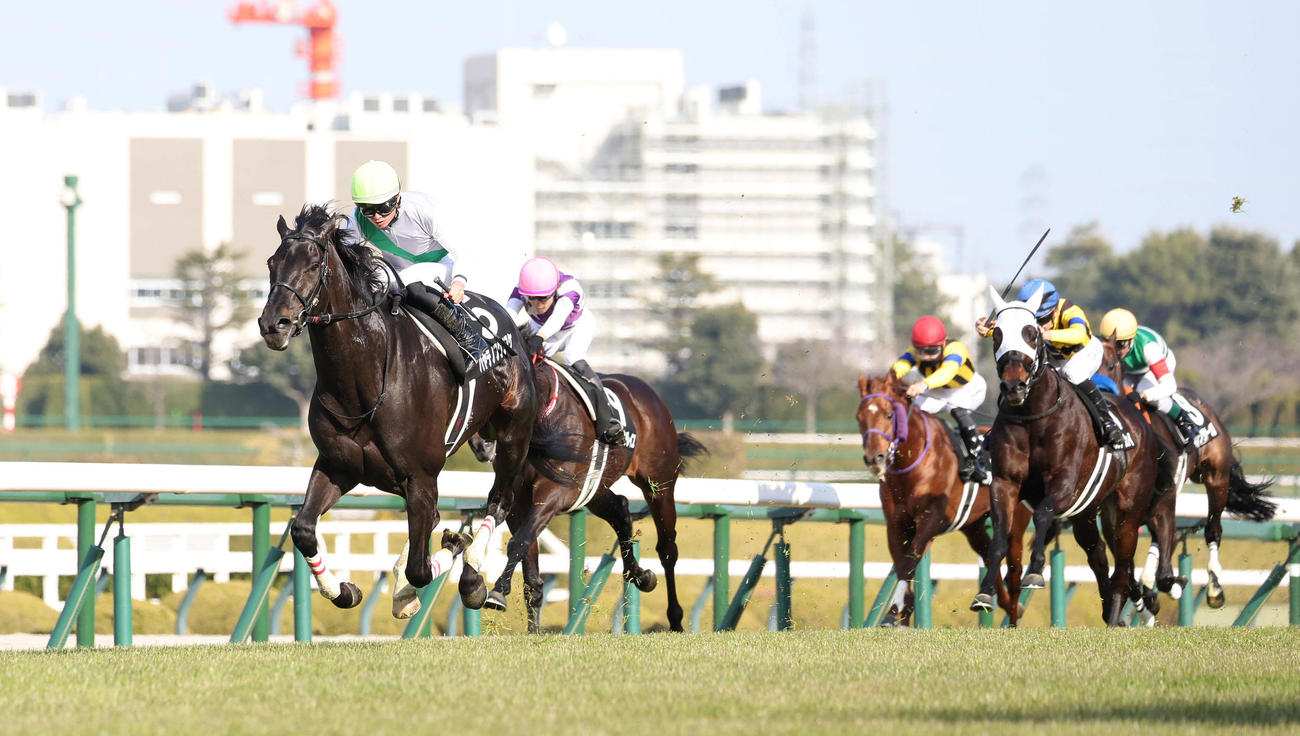 3月1日、直線抜け出して阪神競馬場リニューアルオープン記念を制したハヤテノフクノスケ（左）