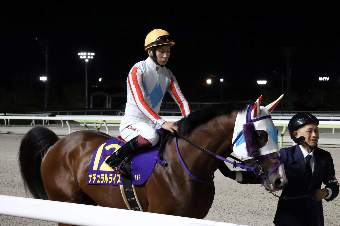 羽田盃で馬場入りするナチュラルライズ