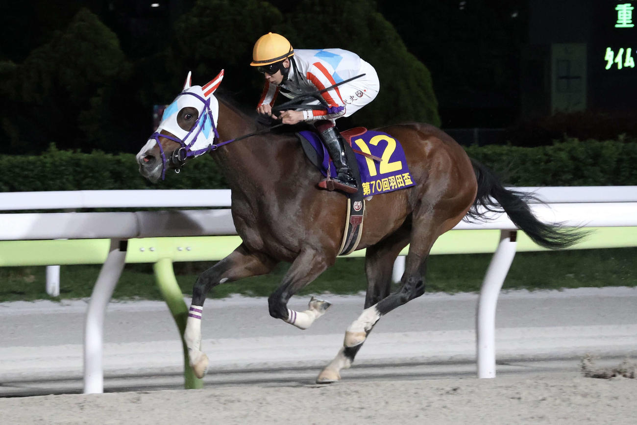 大井11R・羽田盃（Jpn1）　羽田盃を制したナチュラルライズと横山武史騎手