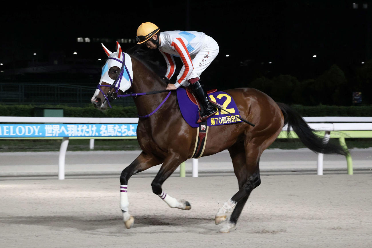 羽田盃で返し馬をするナチュラルライズ