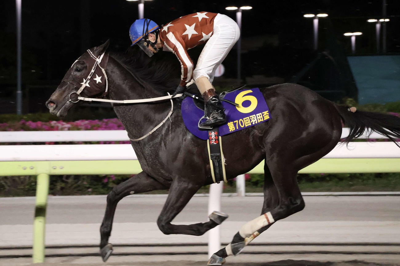 大井11R・羽田盃（Jpn1）　2着でゴールしたナイトオブファイアと矢野貴之騎手