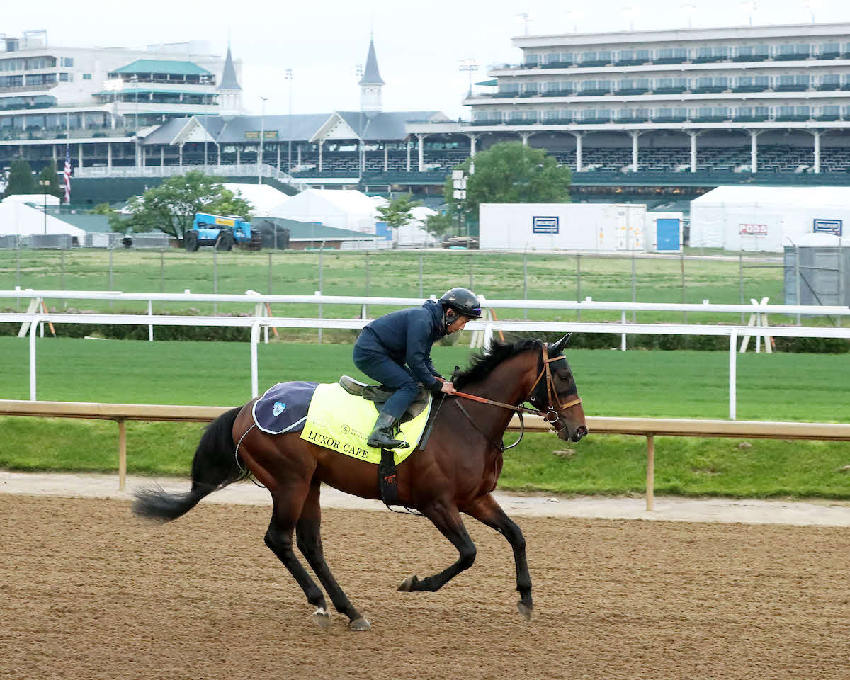 チャーチルダウンズ競馬場で調整するルクソールカフェ（C）Churchill Downs／Coady Media