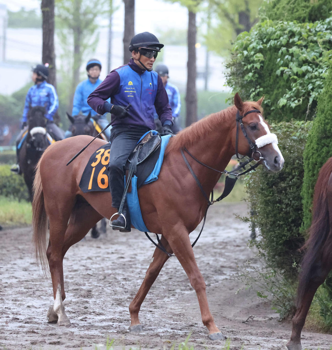 乗り運動で調整するレイニング（2025年4月24日撮影）