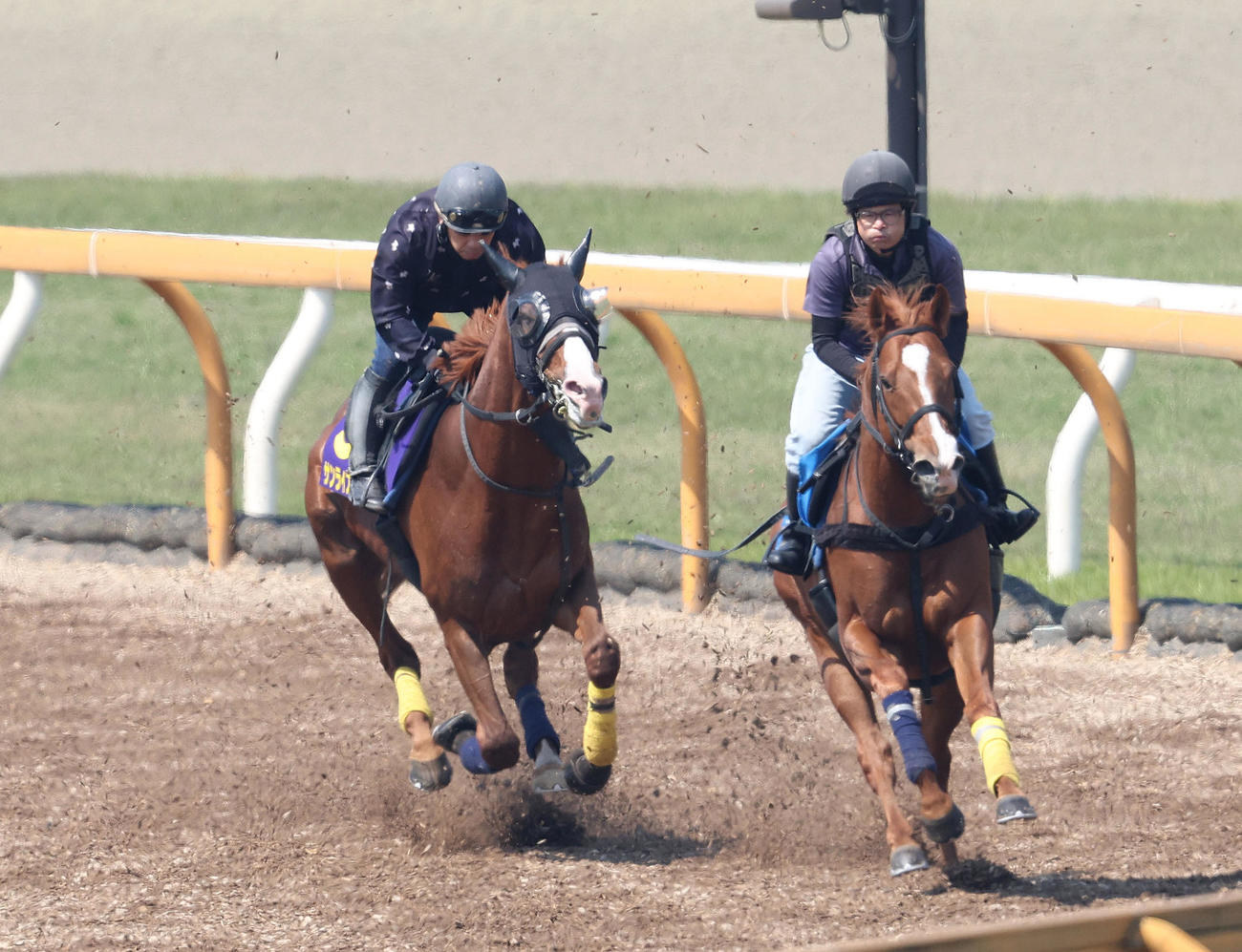 Cウッドをユメハハテシナク（右）と併せ馬で追い切るサンライズアース（撮影・白石智彦）