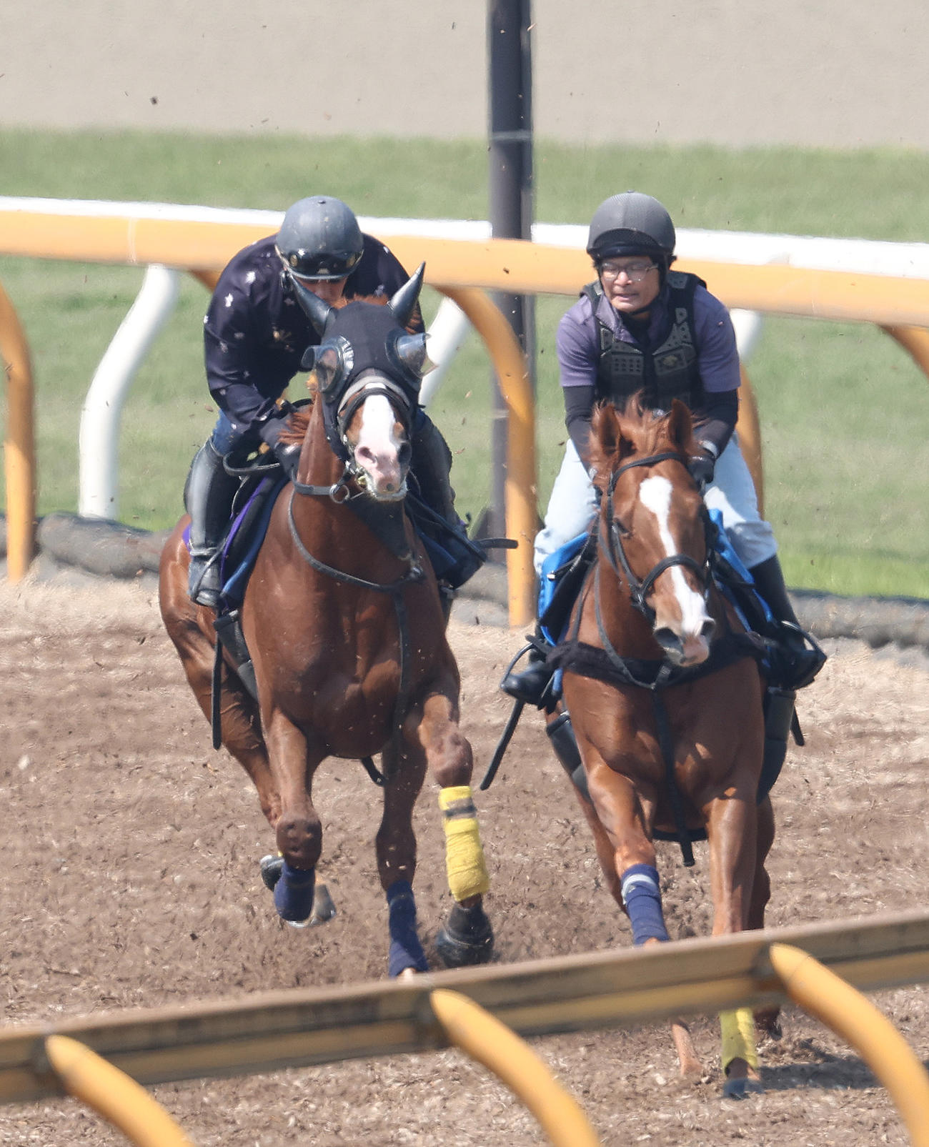 Cウッドをユメハハテシナク（右）と併せ馬で追い切るサンライズアース（撮影・白石智彦）