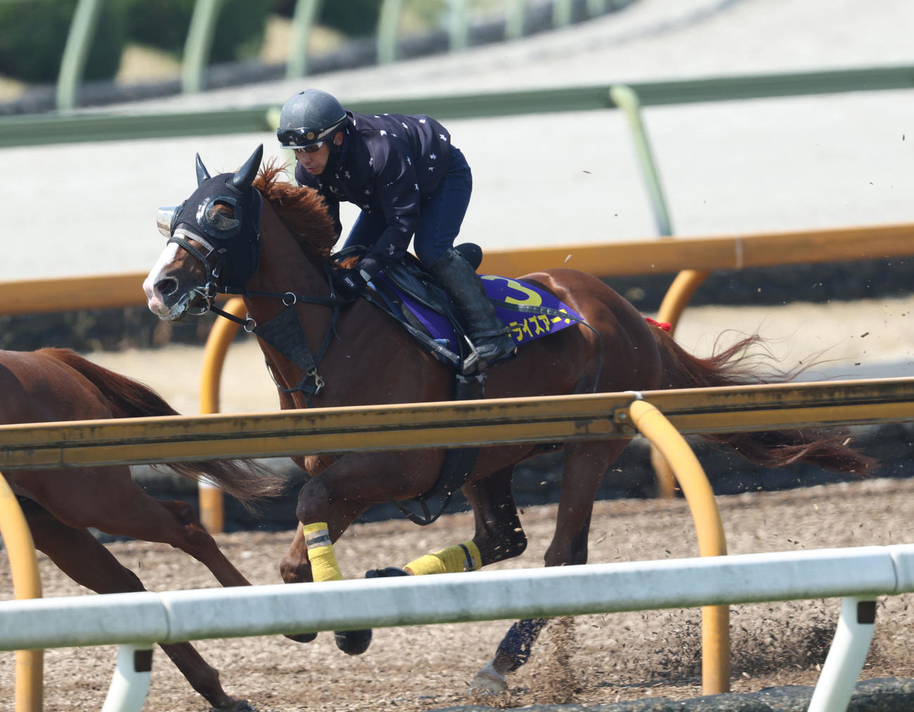 Cウッドをユメハハテシナクと併せ馬で追い切るサンライズアース（撮影・白石智彦）