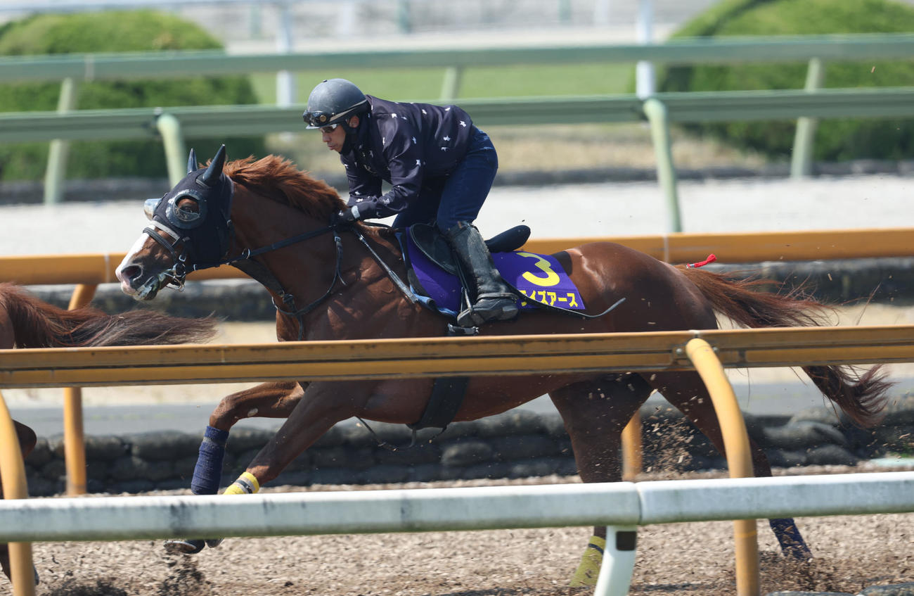 Cウッドをユメハハテシナクと併せ馬で追い切るサンライズアース（撮影・白石智彦）