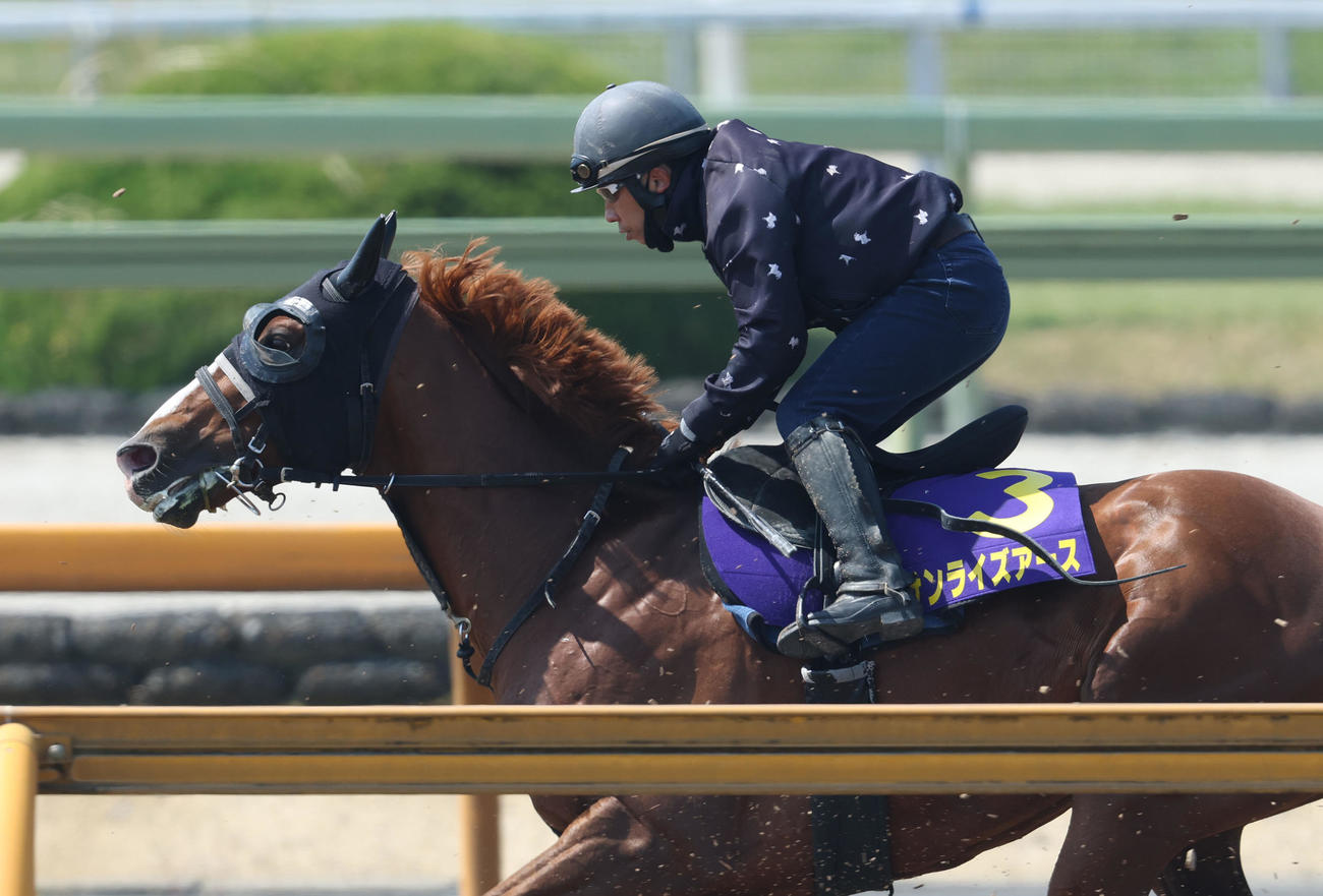 Cウッドをユメハハテシナクと併せ馬で追い切るサンライズアース（撮影・白石智彦）