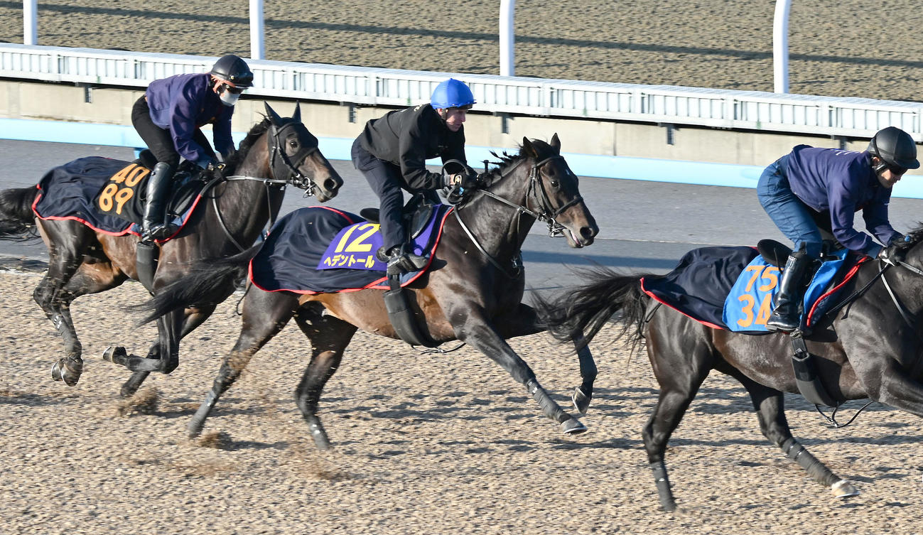 レーン騎手を背に美浦ウッドを3頭併せで追い切るヘデントール（中央）（撮影・千葉一成）