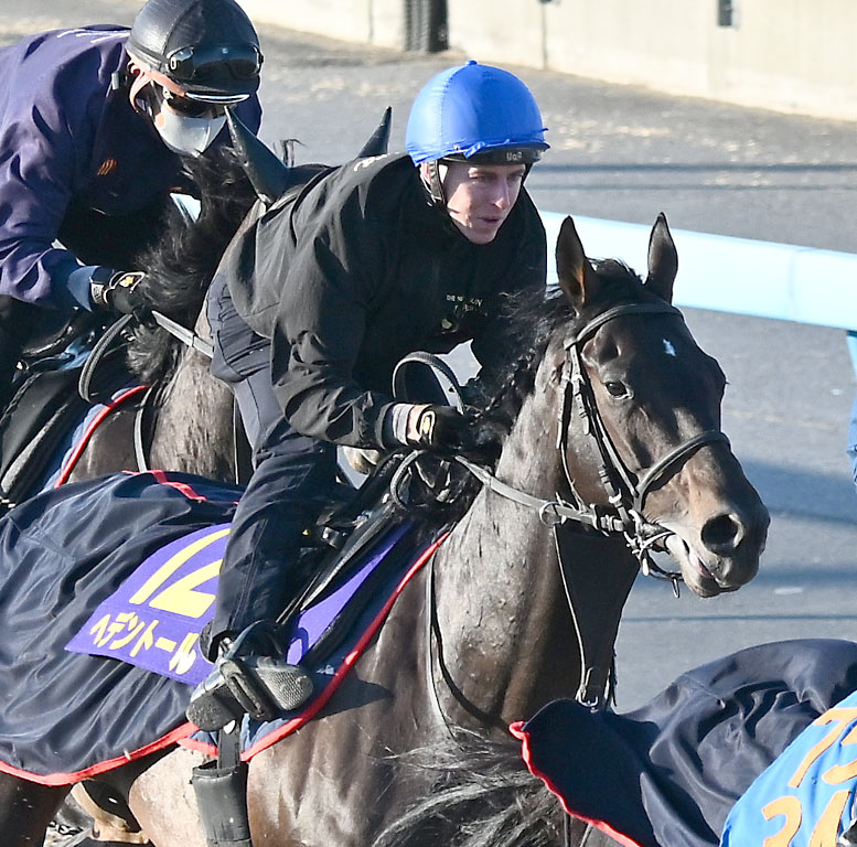 美浦ウッドを3頭併せで追い切るヘデントール鞍上のレーン騎手（撮影・千葉一成）