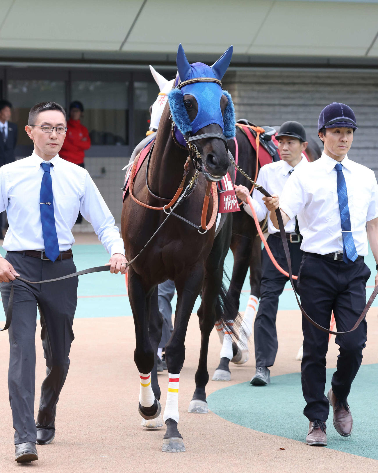27日、フローラSに出走したヴァルキリーバース