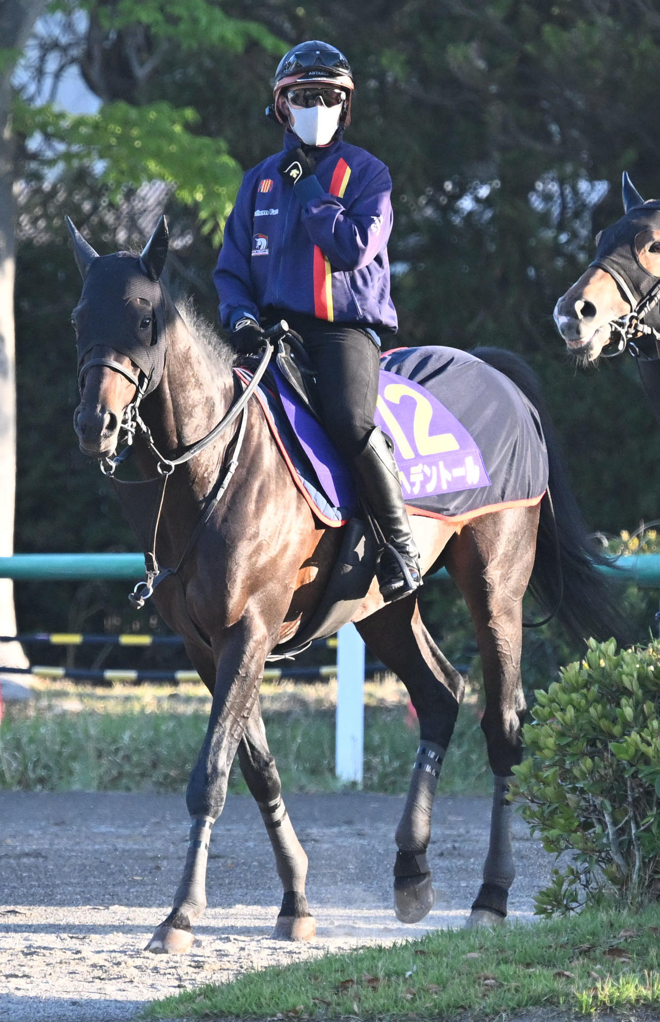 乗り運動するヘデントール（撮影・千葉一成）