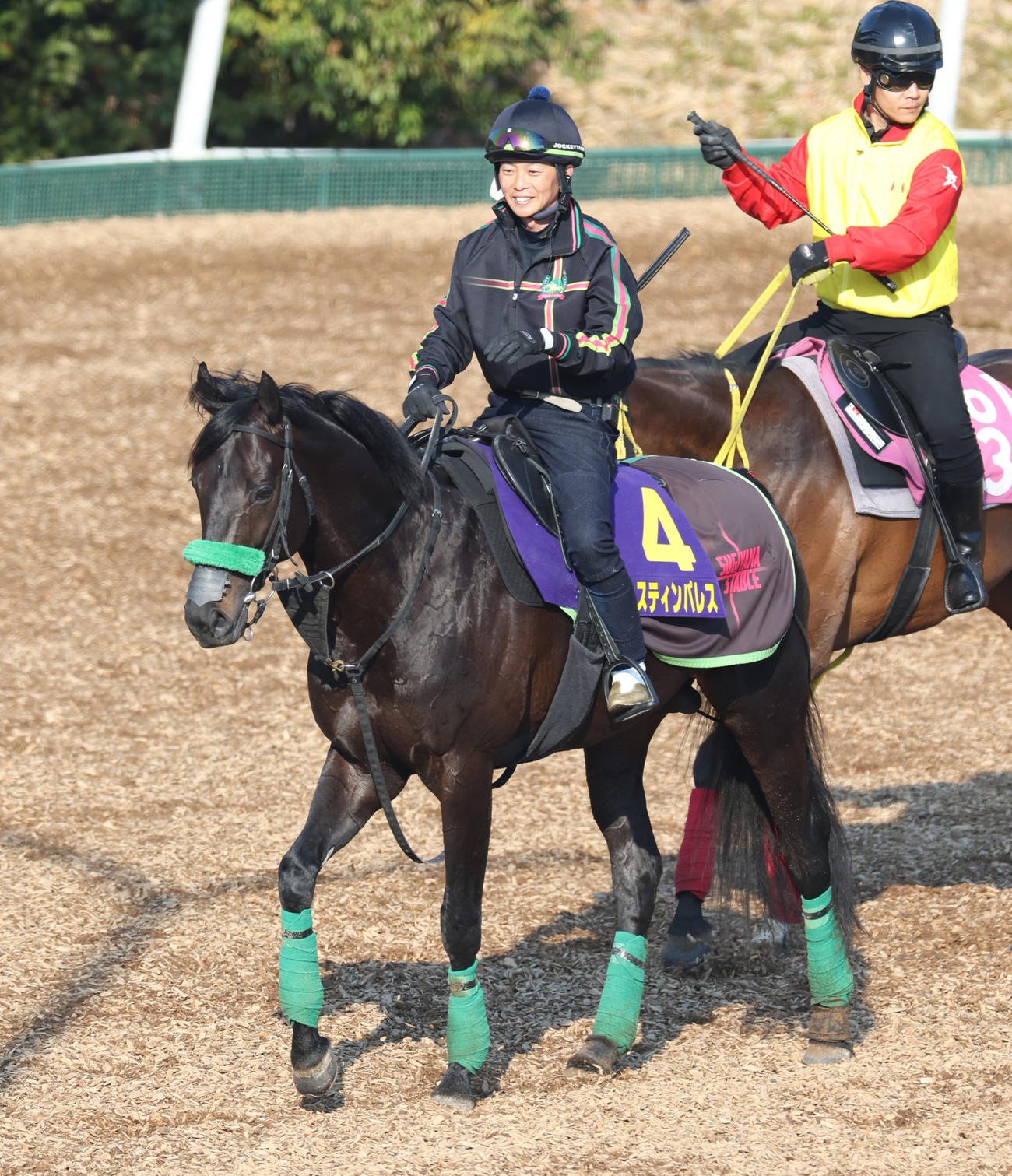 追い切り後、運動するジャスティンパレス