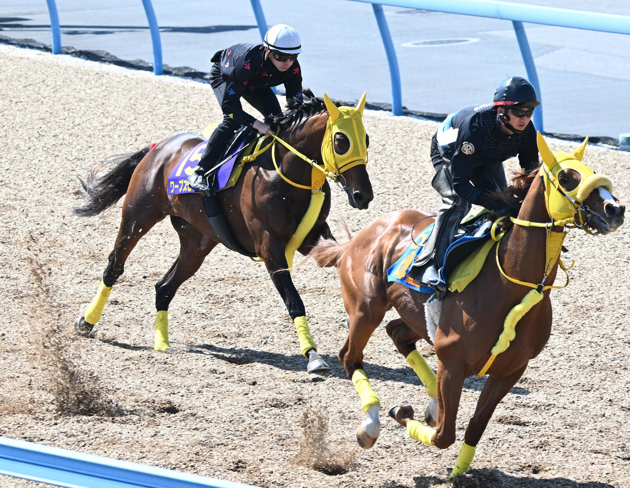 美浦ウッドを2頭併せで追い切るワープスピード（左）（撮影・千葉一成）