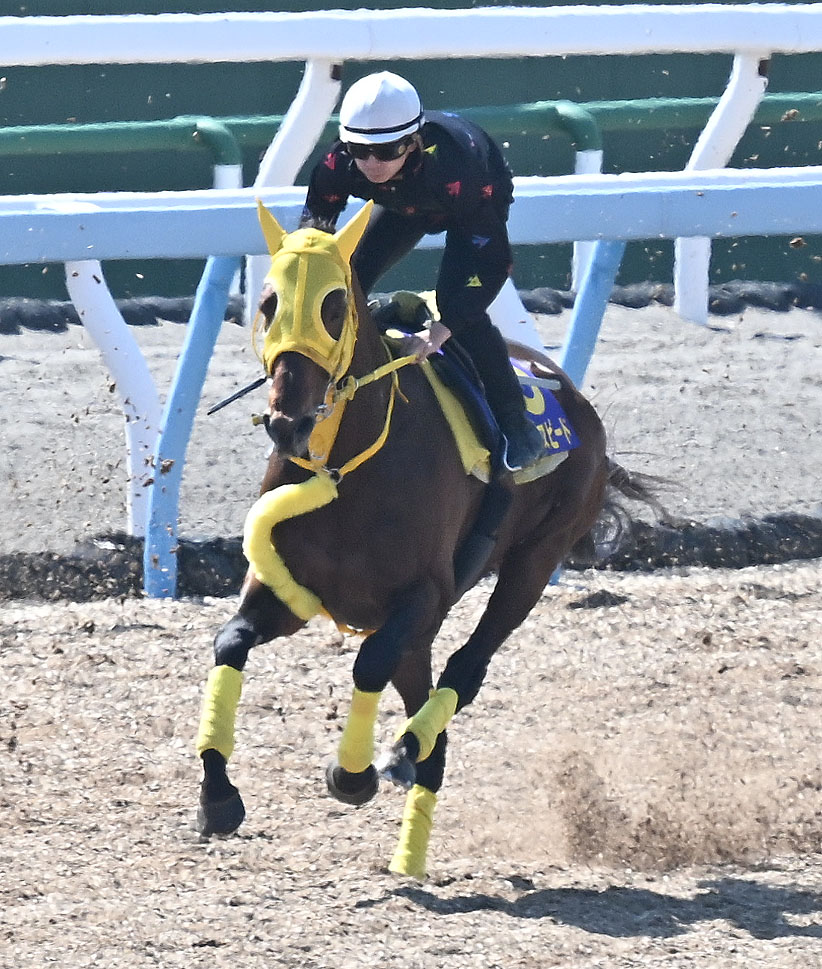 美浦ウッドを2頭併せで追い切るワープスピード（撮影・千葉一成）