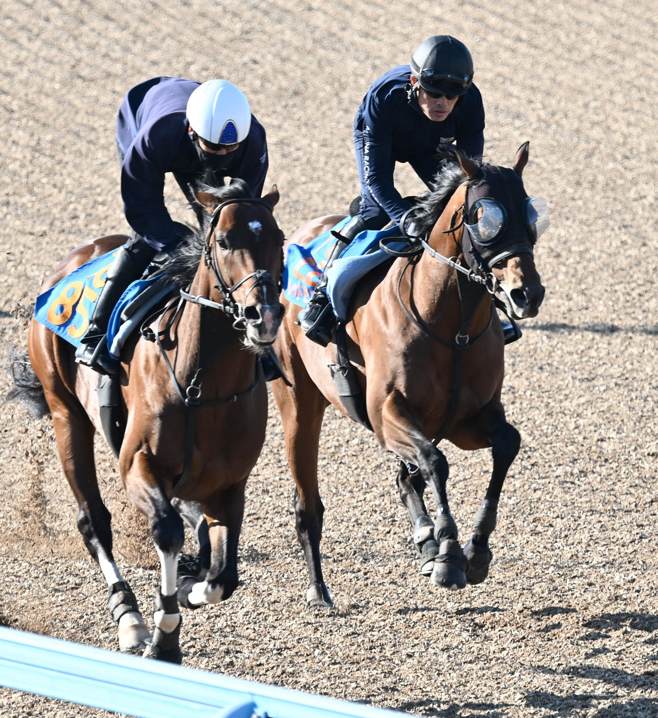 美浦ウッドを2頭併せで追い切るレッドモンレーヴ（右）（撮影・千葉一成）