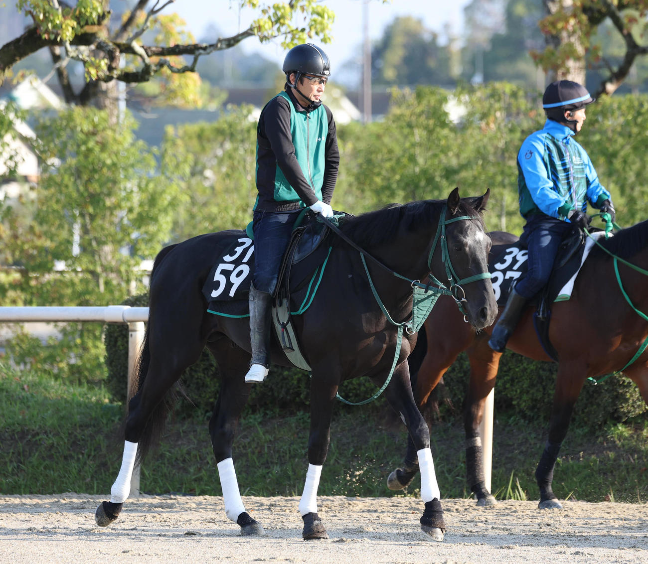 運動するクラウディアイ（2025年4月29日撮影）