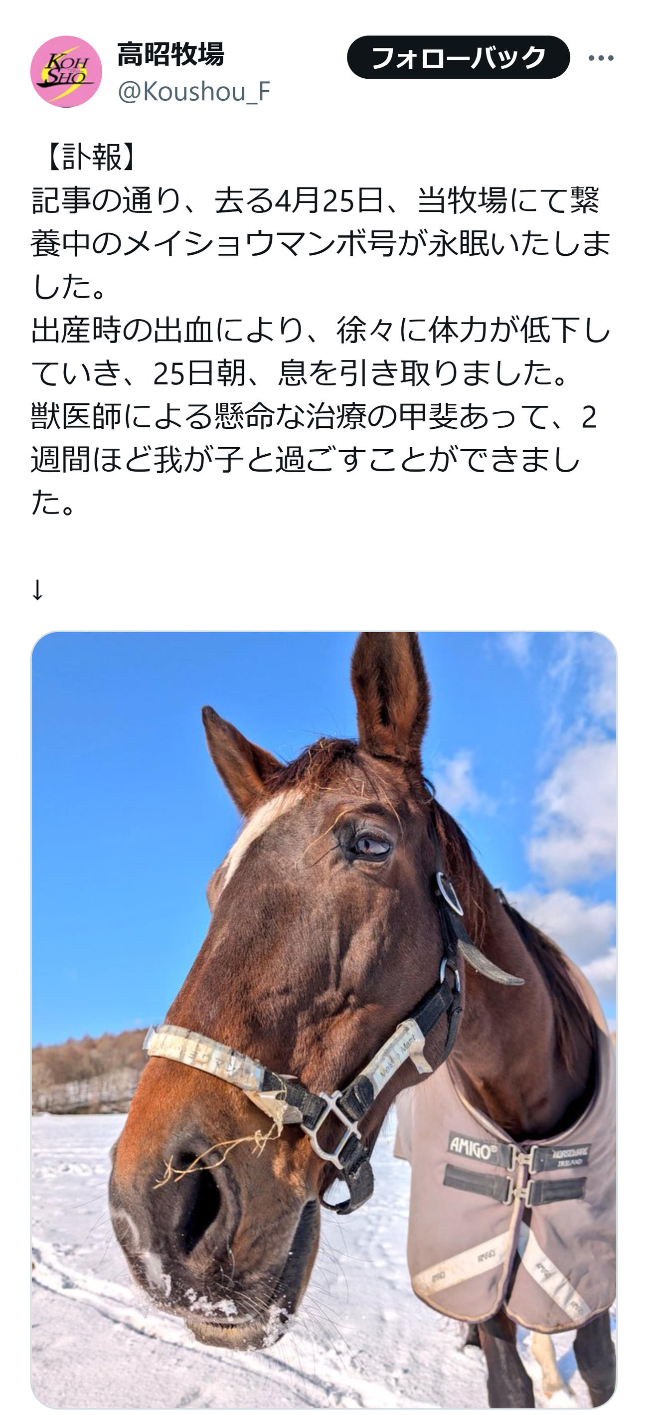 高昭牧場のXから