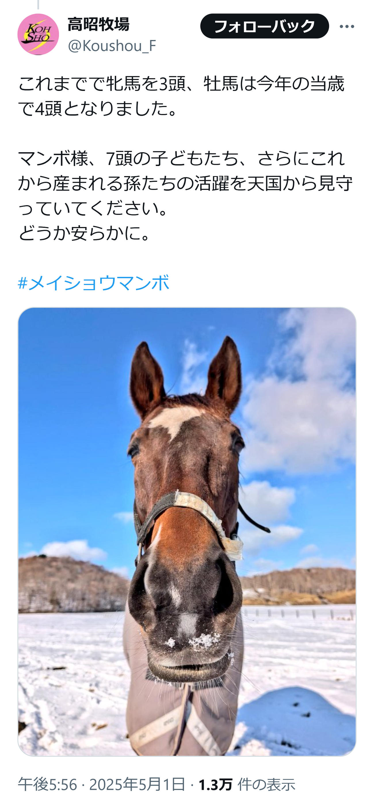 高昭牧場のXから
