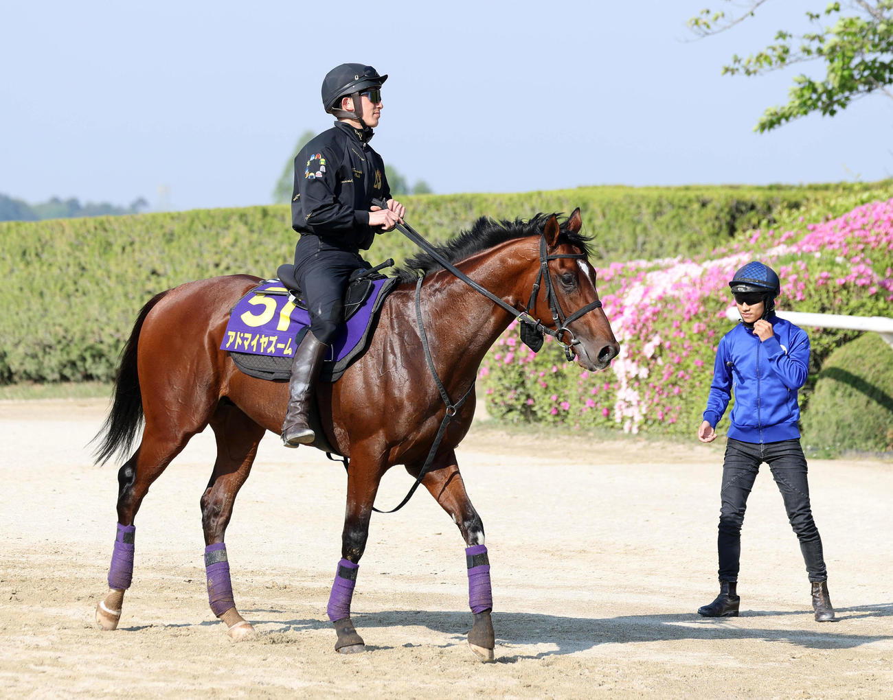 調教から引き揚げるアドマイヤズーム。右は追い切りをつけた荻野極騎手（撮影・白石智彦）