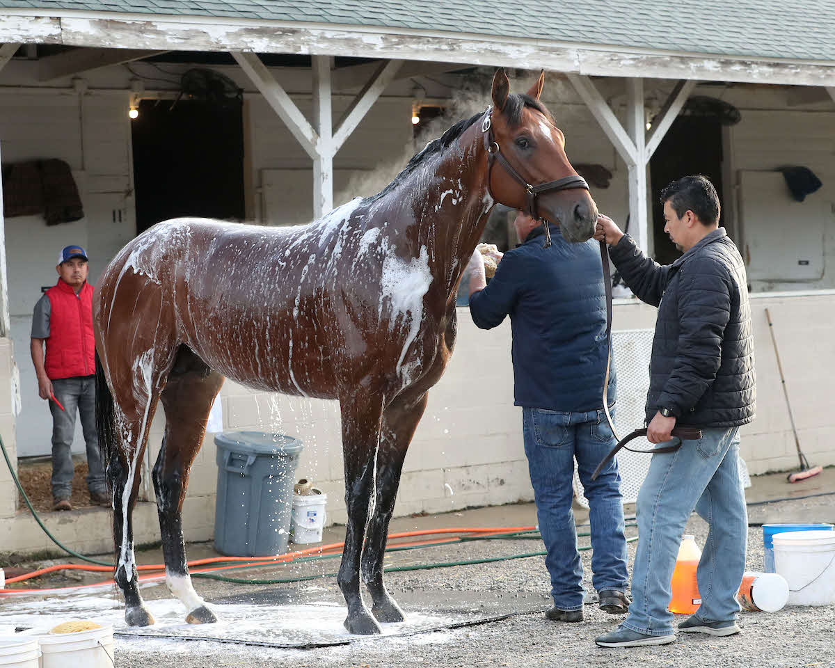 チャーチルダウンズ競馬場で馬体を洗うジャーナリズム（C）Churchill Downs／Coady Media