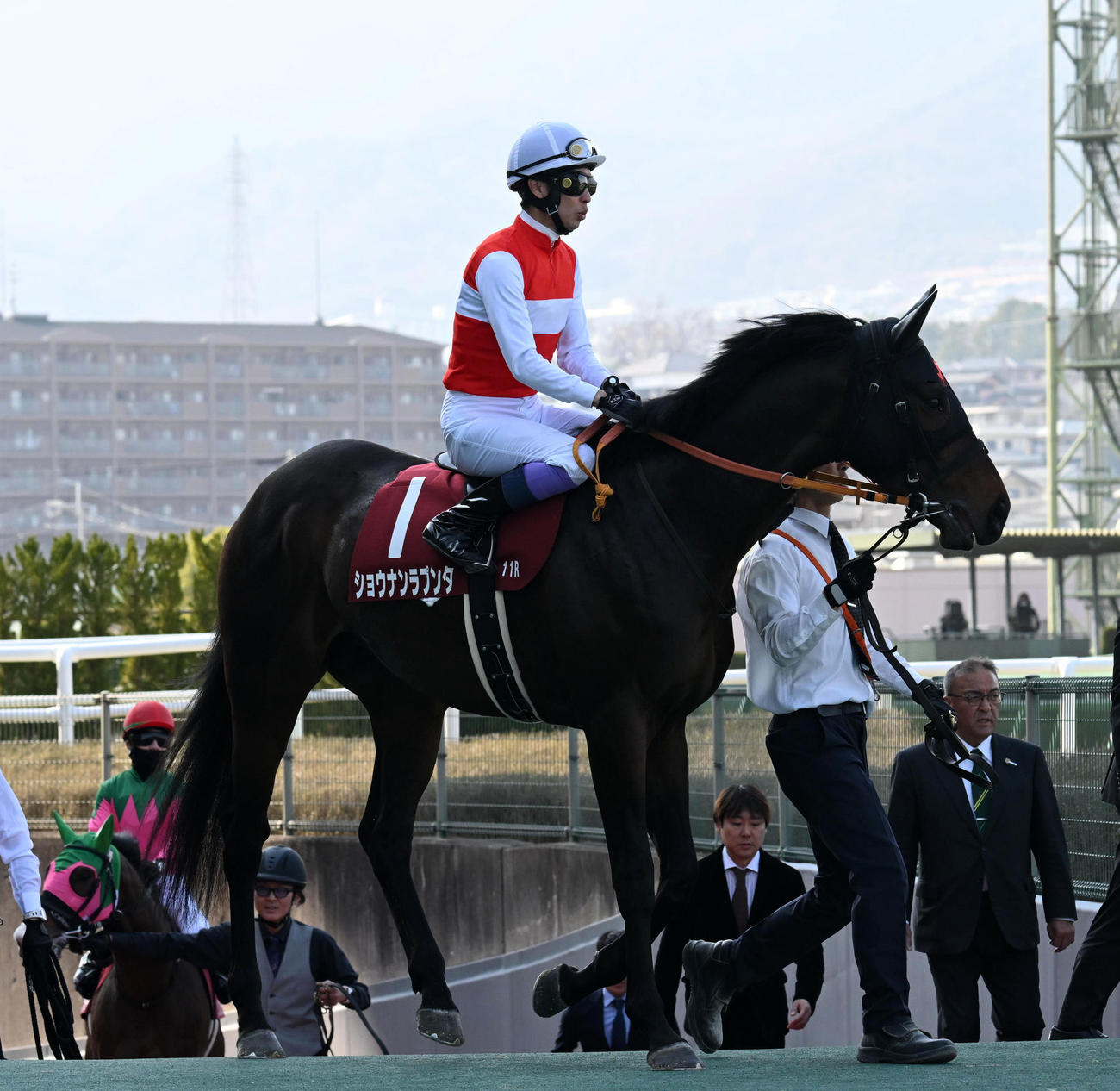 阪神大賞典4着のショウナンラプンタと武豊騎手