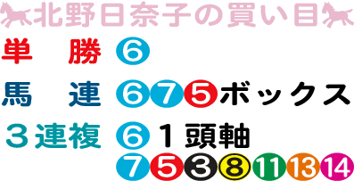 北野日奈子の買い目