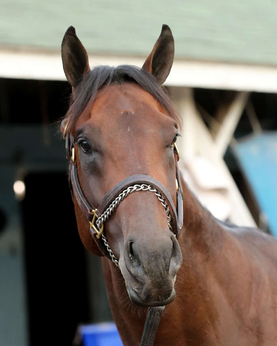 サエス騎手とのコンビが決まったネオエクオス（C）Churchill Downs／Coady Media